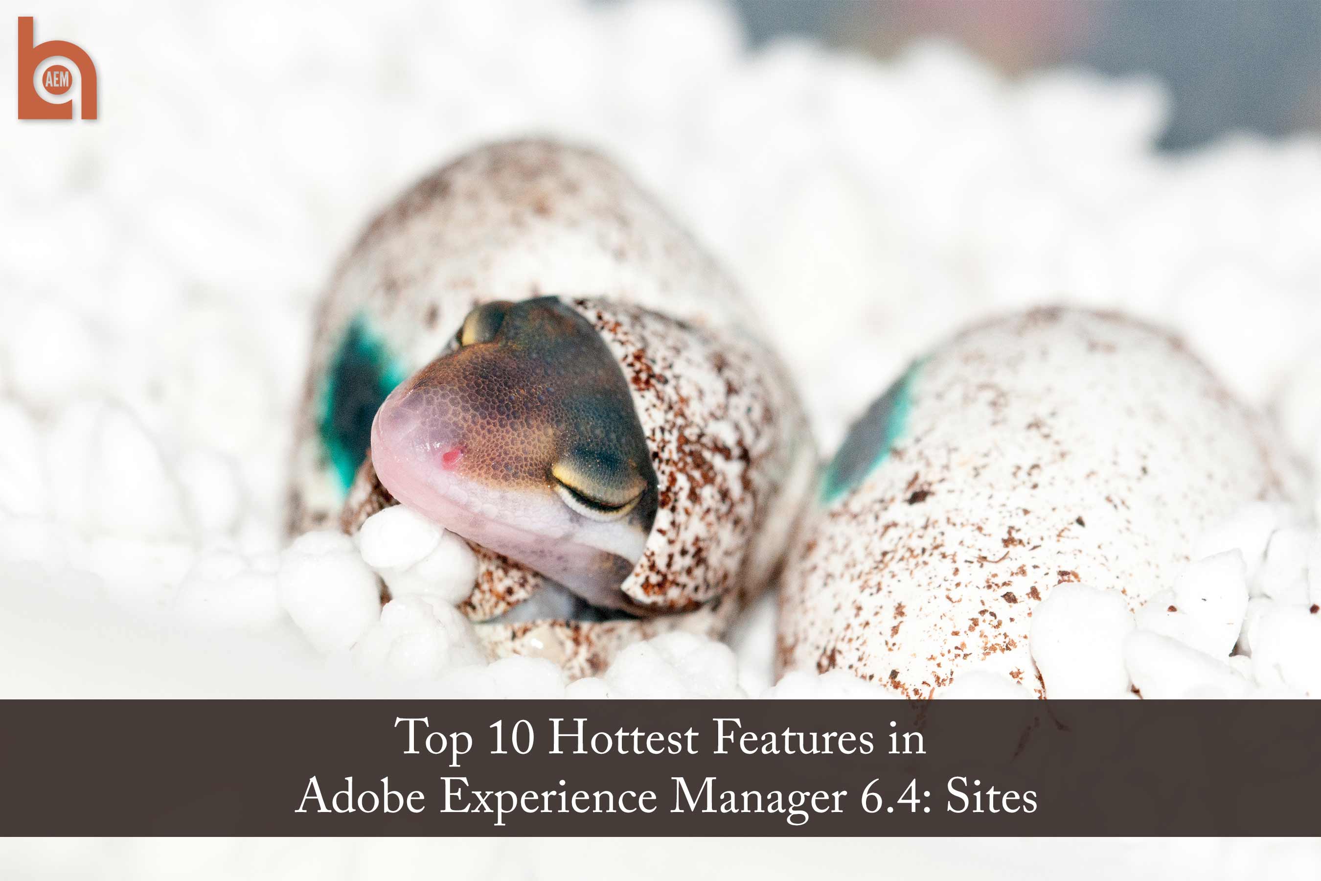 Top 10 Hottest Features in Adobe Experience Manager 6.4: Sites