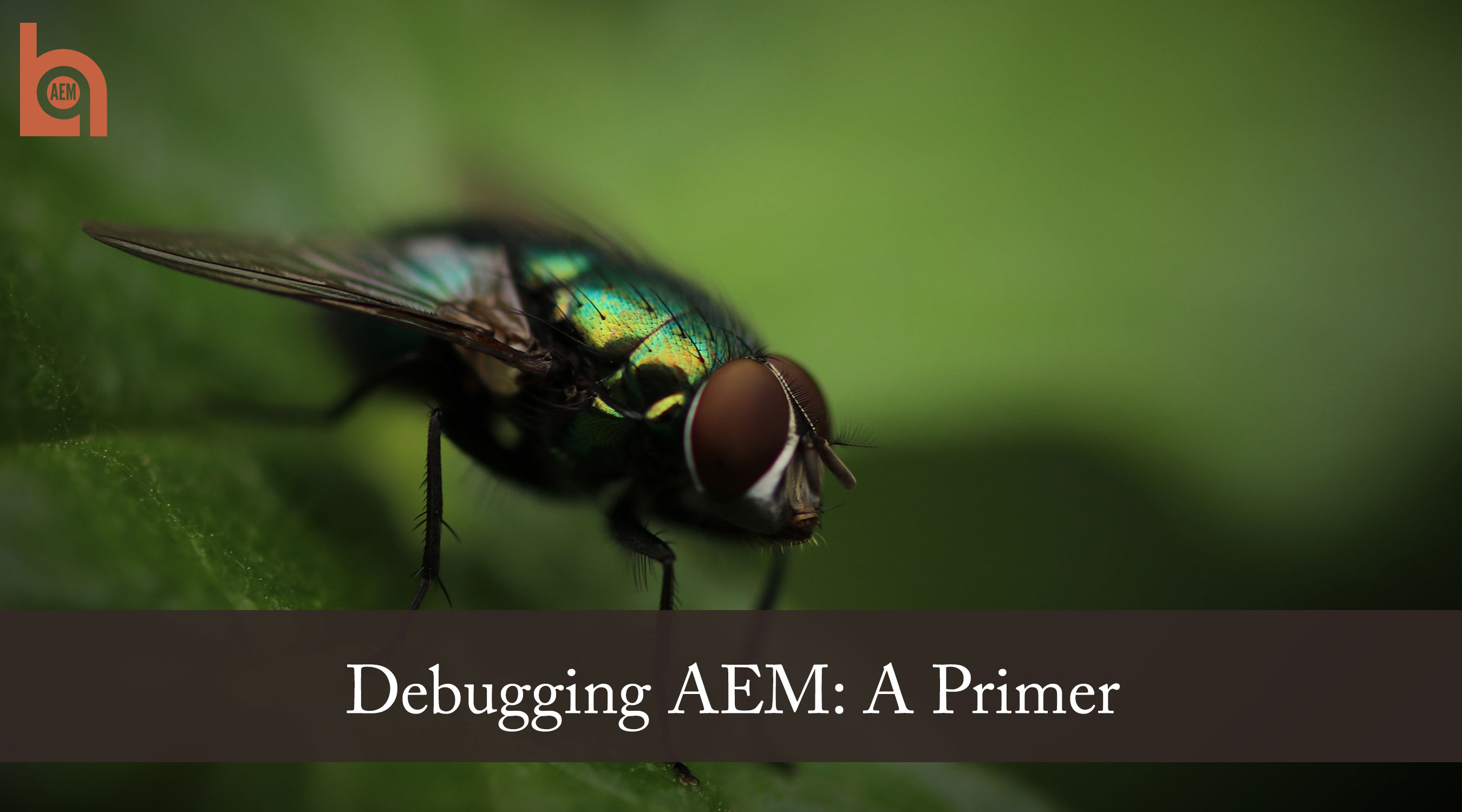 Debugging AEM: A Primer