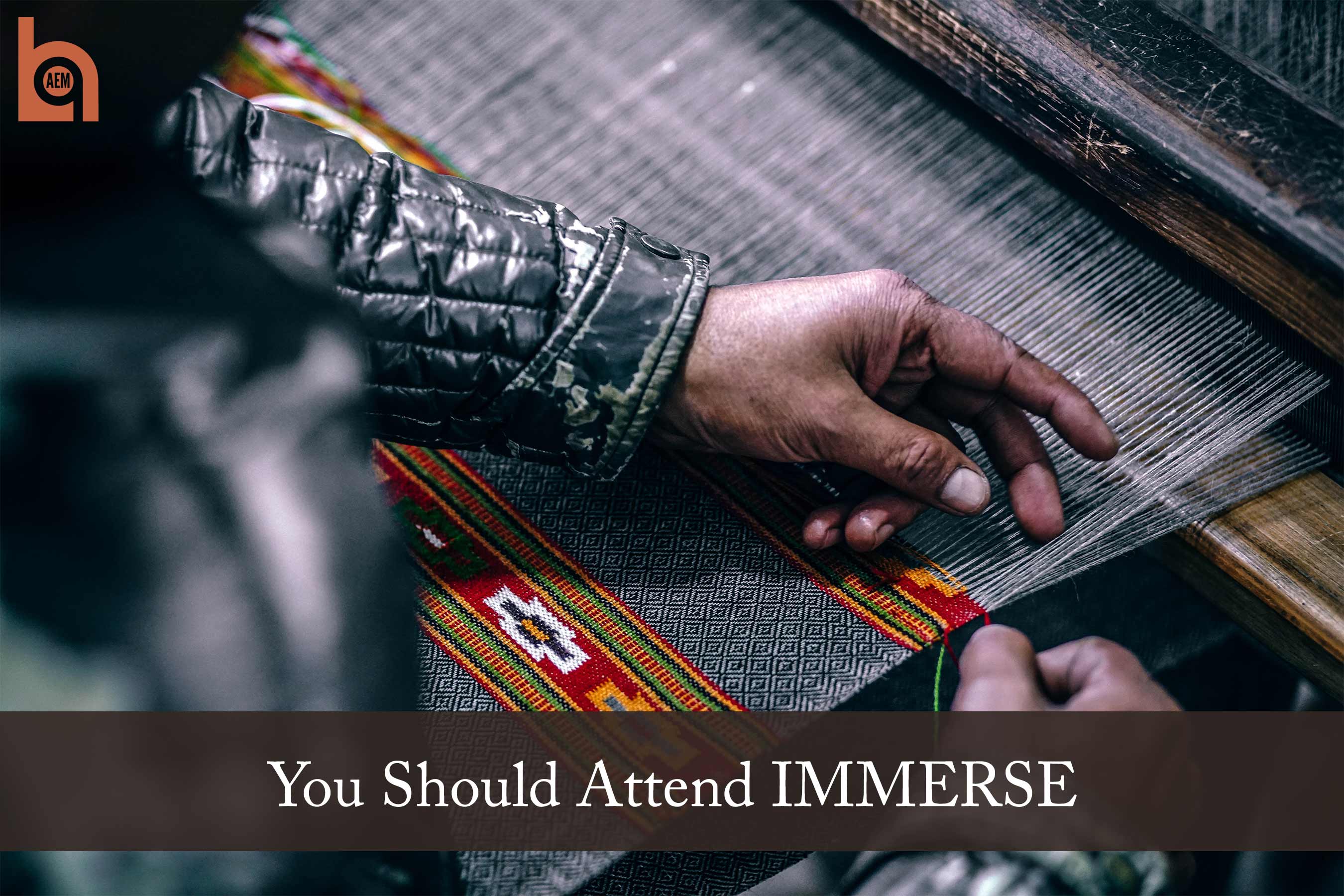 You Should Attend IMMERSE